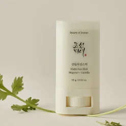Beauty of Joseon Sun stick Mugwort + Camilia SPF50+ 18 gr