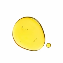 Clarins Santal Treatment Oil Gezichtsverzorging 30 ml