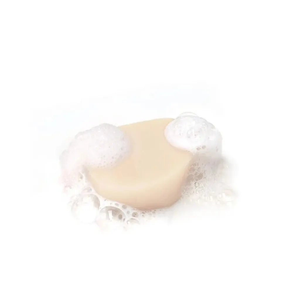 Garnier Loving Blends Milde Haver Shampoo Bar 60 gr