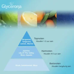 Glycerona Hygiënische Handgel Aloë Vera 100 ml