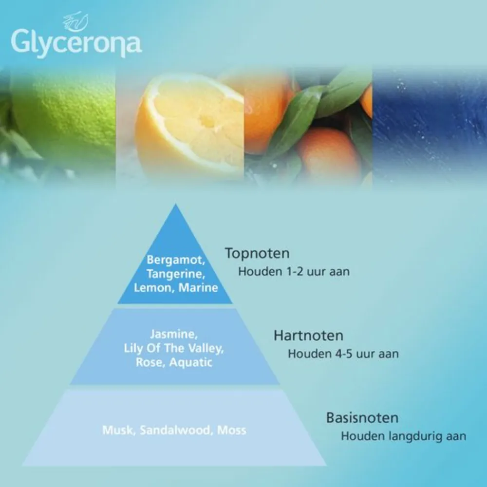 Glycerona Hygiënische Handgel Aloë Vera 100 ml