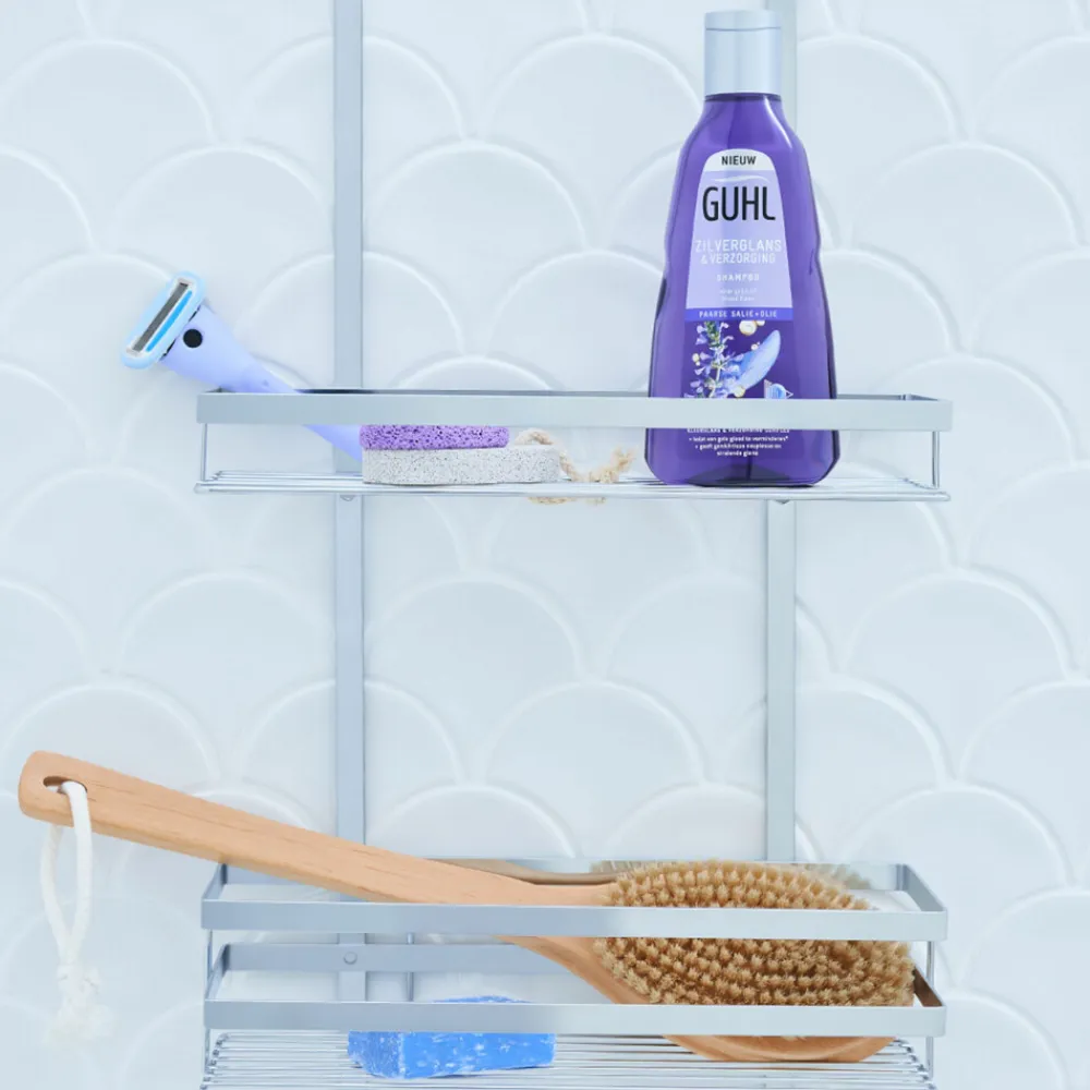 Guhl Zilverglans - Shampoo 1x 250 ml & Haarmasker 1x 200 ml - Pakket