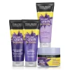 John Frieda Violet Crush - Shampoo 1x 250 ml & Conditioner 1x 250 ml & Shampoo Intense 1x 250 ml & Haarmasker 1x 250 ml - Pakket