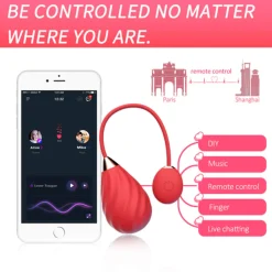 Magic Motion Vibratie Eitje App Bedienbare