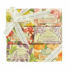 Nesti Dante Romantica Handzeep Tuscan Wisteria & Liliac 250 gr