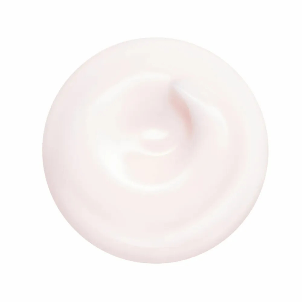 Shiseido Essential Energy Hydrating Day Cream SPF20 50 ml