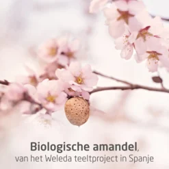 WELEDA Amandel Verzachtende Gezichtsolie 50 ml