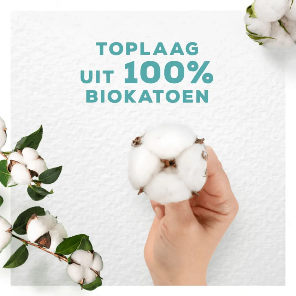 Always 10x Maandverband Bio Cotton Protection Ultra Normal met Vleugels 11 stuks
