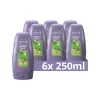 Andrélon 6x Conditioner Iedere Dag 250 ml
