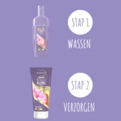 Andrélon 6x 1 Minuut Wow Masker Levendig Lang 180 ml