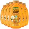Garnier 6x Loving Blends Argan- en Cameliaolie Shampoo 300 ml