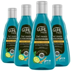 Guhl 4x Shampoo Man Freshness & Care 250 ml
