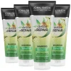 John Frieda 4x Detox & Repair Shampoo 250 ml
