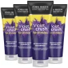 John Frieda 4x Violet Crush Shampoo Intense Purple 250 ml
