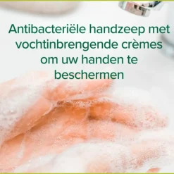 Palmolive 6x Handzeep Hygiëne Plus Family 300 ml
